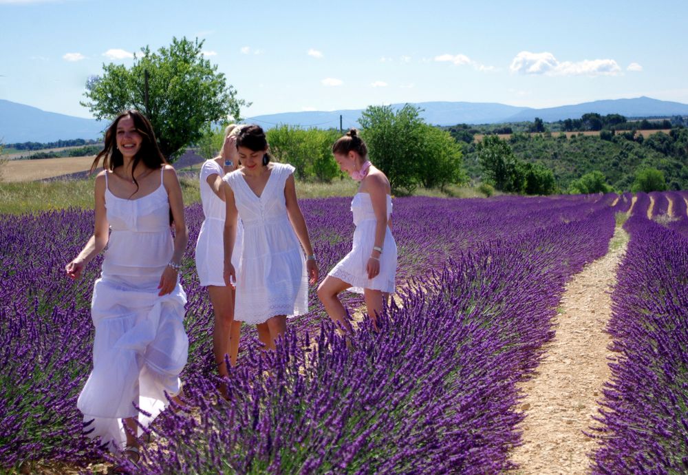 Jeunes filles en fleurs .....