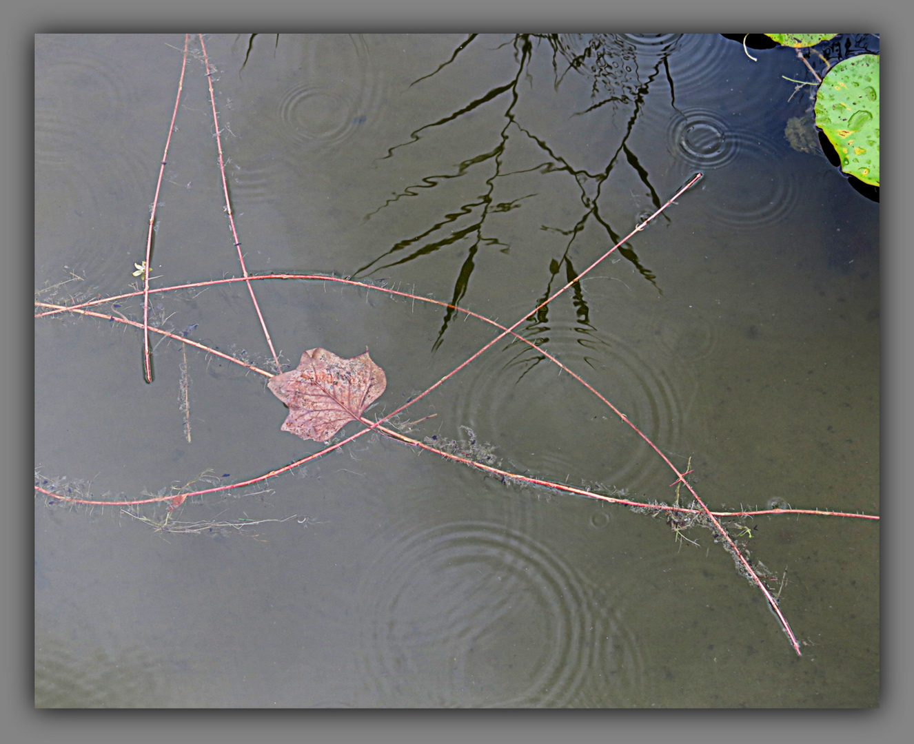 JEUX D' EAU