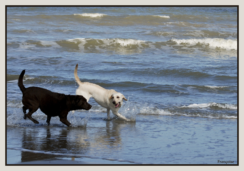 Jeux dans l'eau