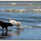 Jeux dans l'eau