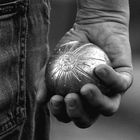 Jeux de Boules/ Kugelspiele