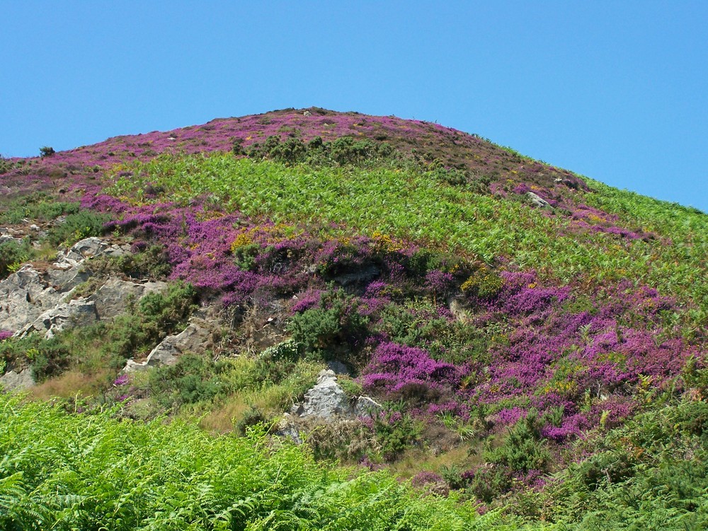 Jeux de couleur