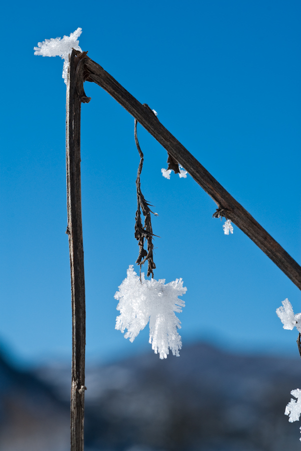 Jeux de givre