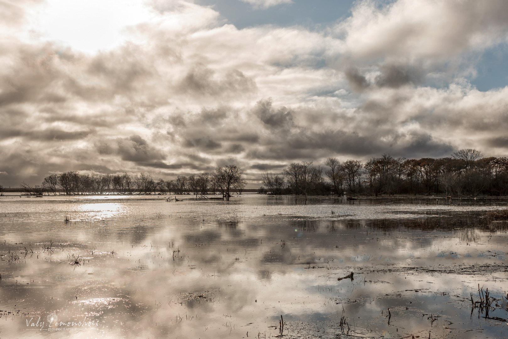 Jeux de reflets