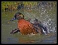 Jeux d'eau !! von JURAFR 