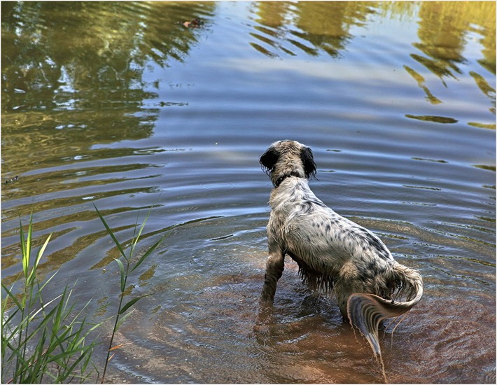 Jeux d'eau