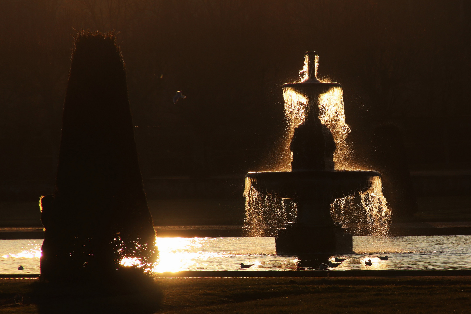 Jeux d'eau à contre-jour