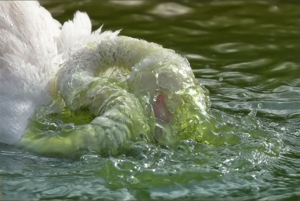 jeux d'eau