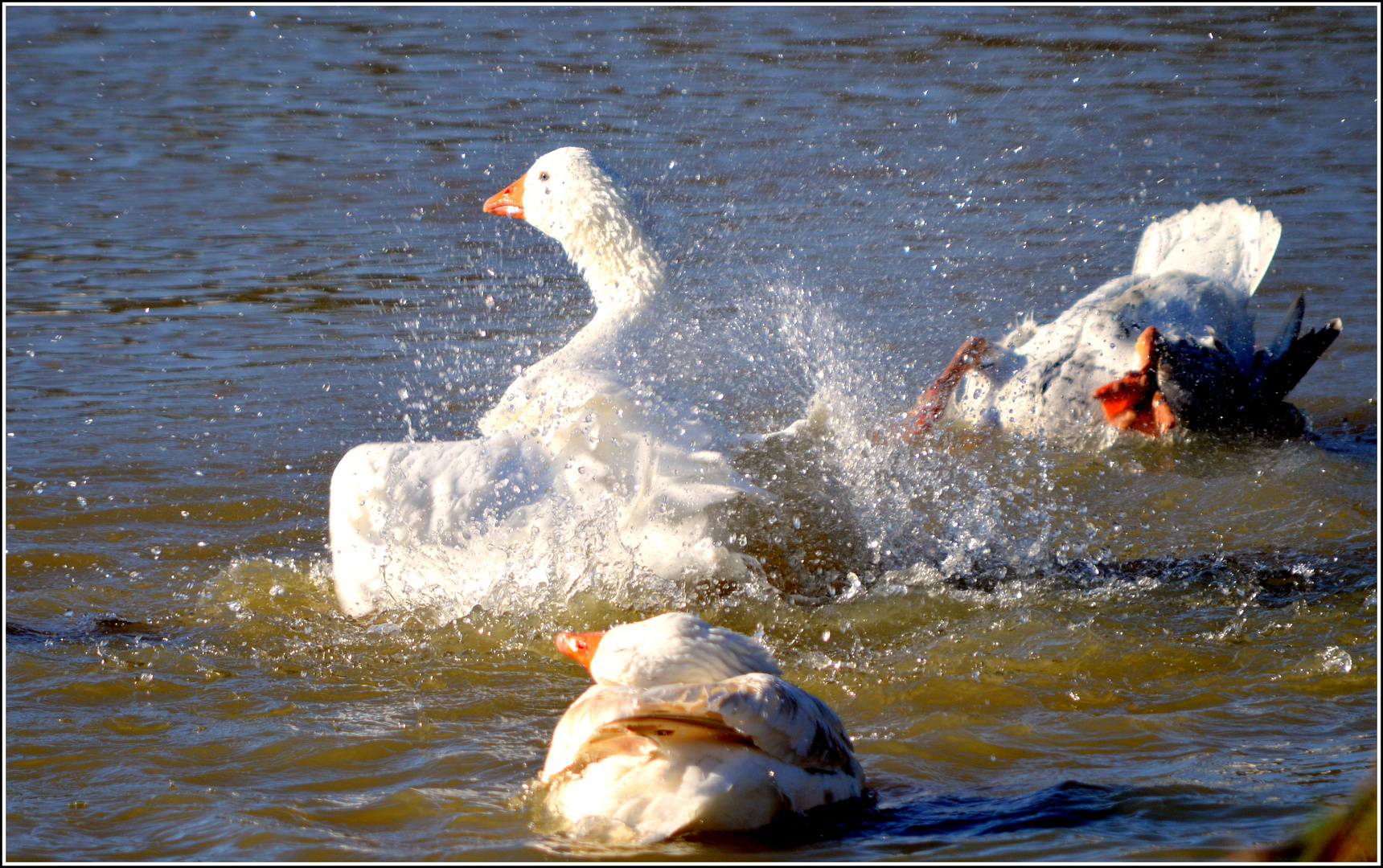 jeux d'eau