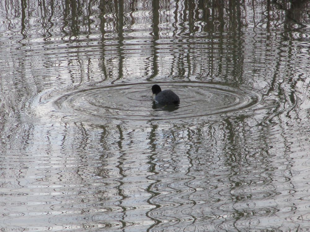 ..Jeux d'eau et reflets..