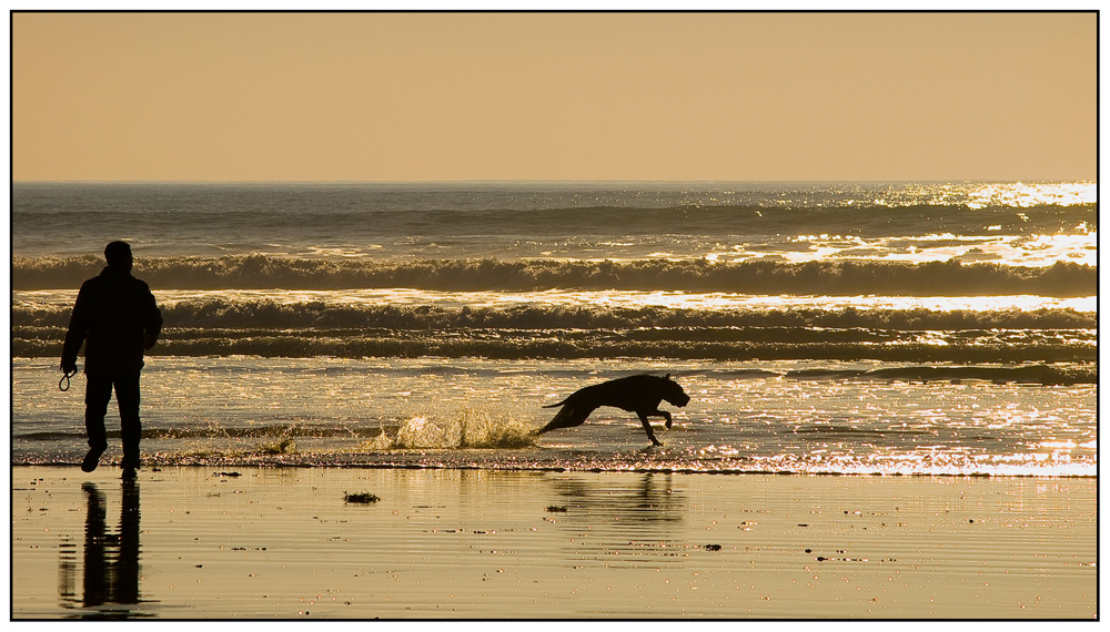 Jeux du soir sur la plage