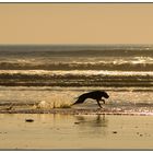 Jeux du soir sur la plage