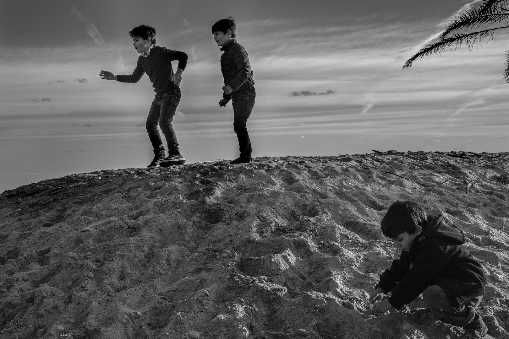 Jeux en haut de dune