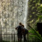 Jewel mit dem höchsten Indoorwasserfall der Welt. (II)