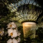 Jewel mit dem höchsten Indoorwasserfall der Welt. (III)