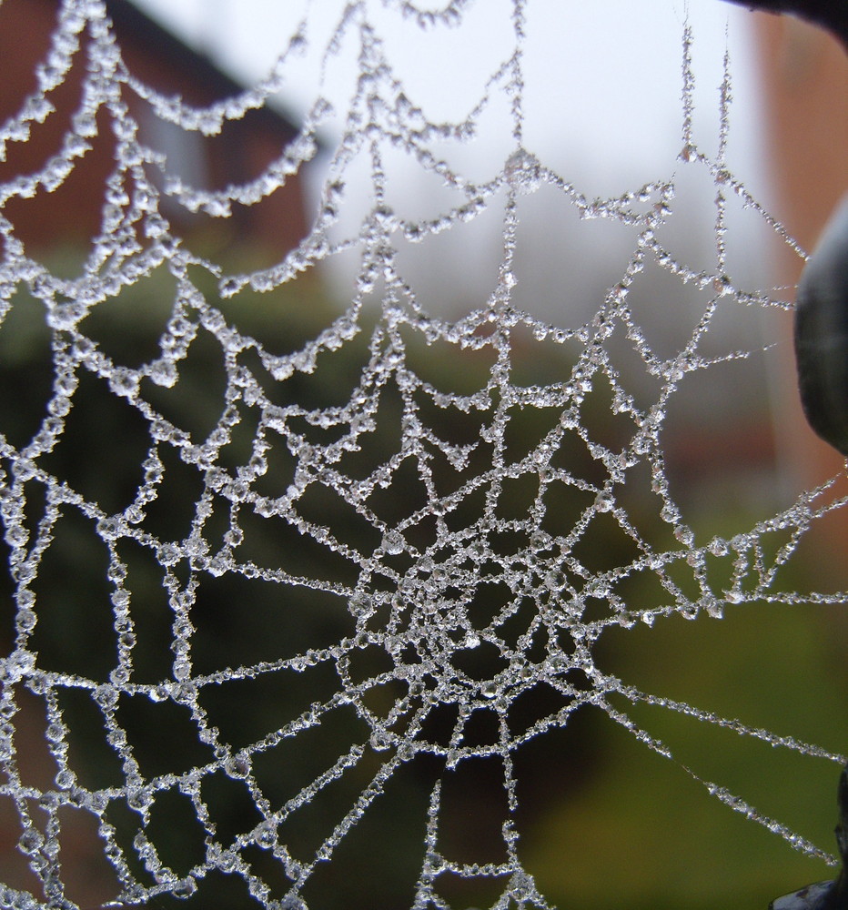 jewelled cobweb