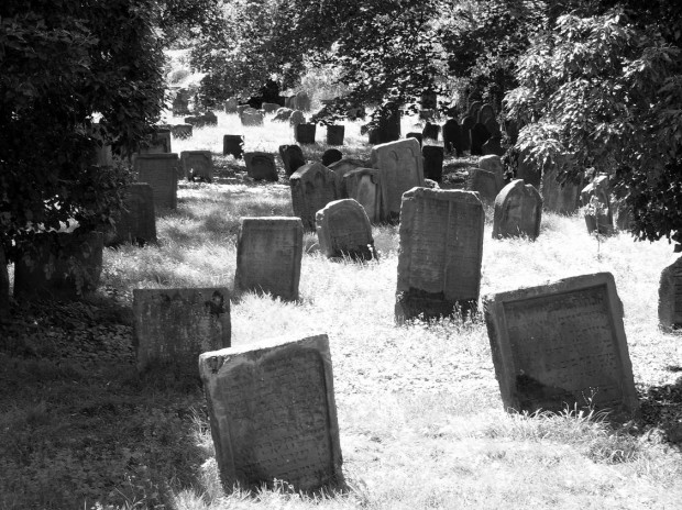 Jewish Cemetary Worms