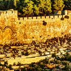 Jewish Cemetery