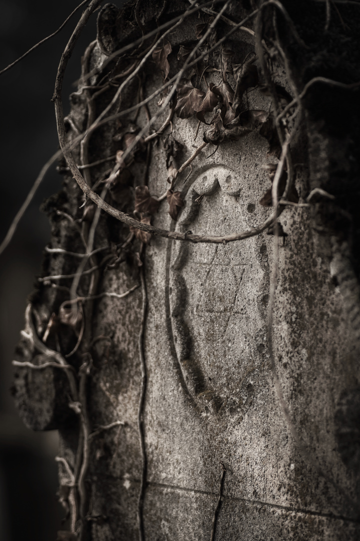 jewish cemetery