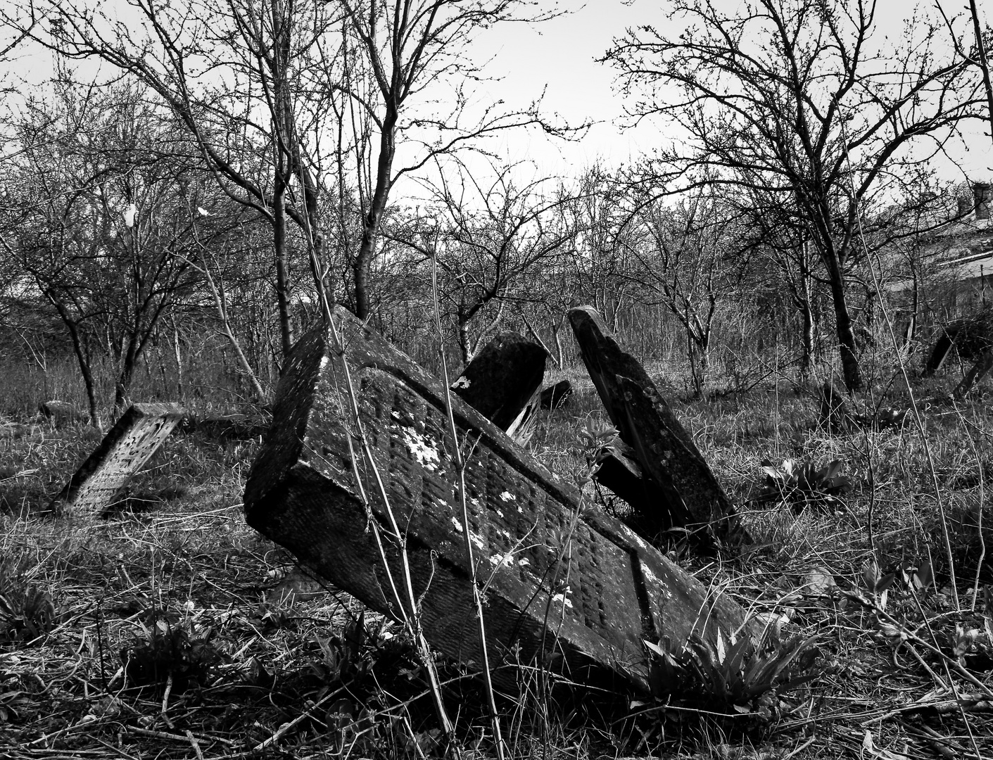 Jewish cemetery