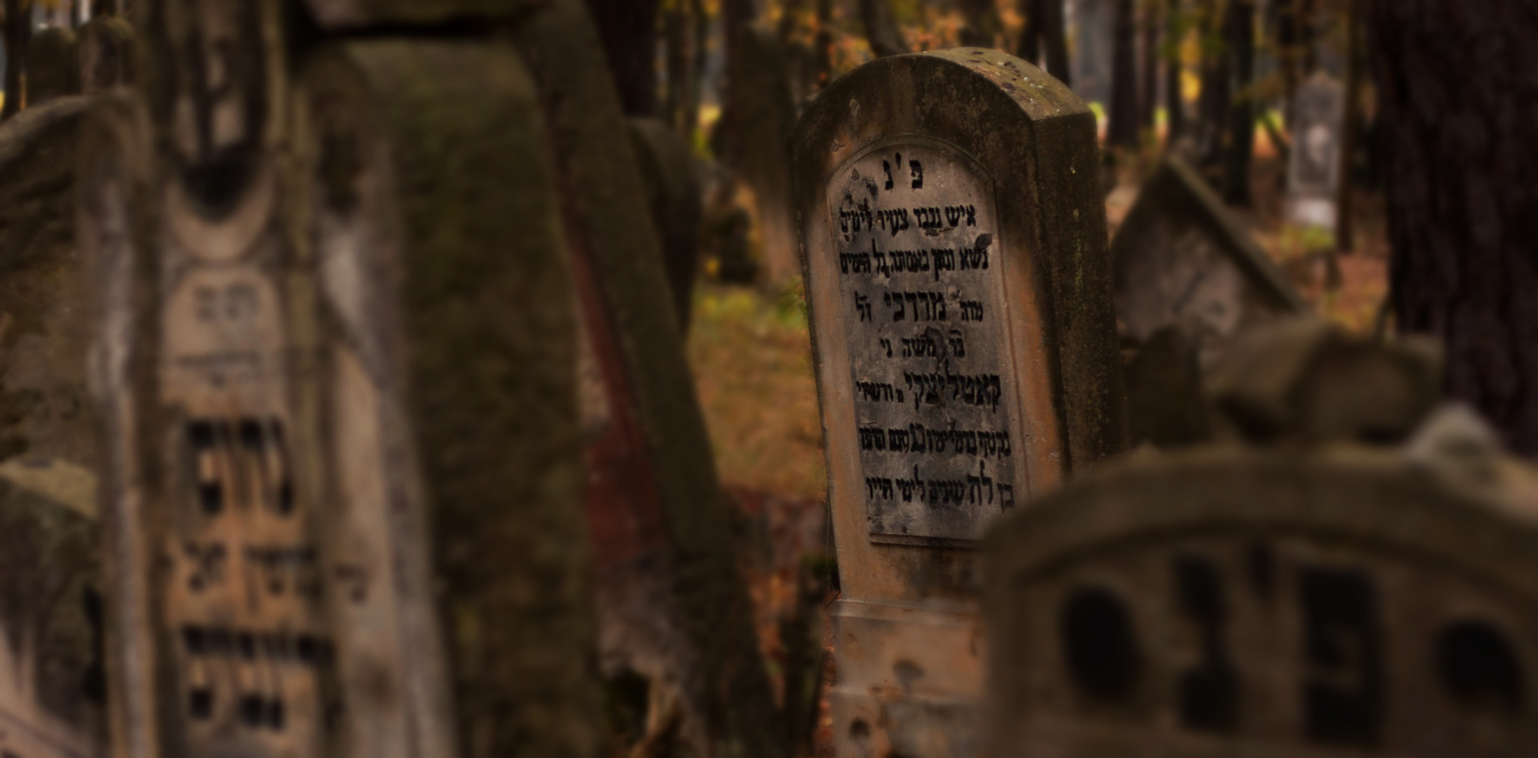 Jewish cemetery in Otwock