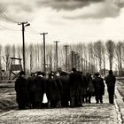 Jews in Birkenau