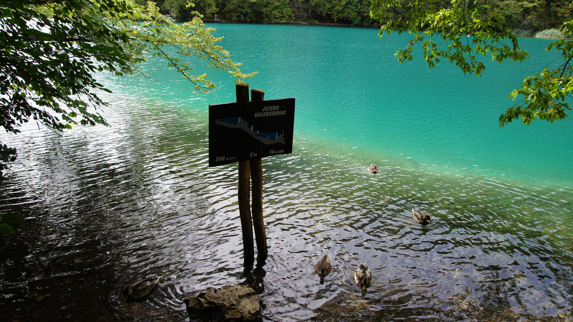 Jezero Kaluderovac (einer der Plitvicer Seen)