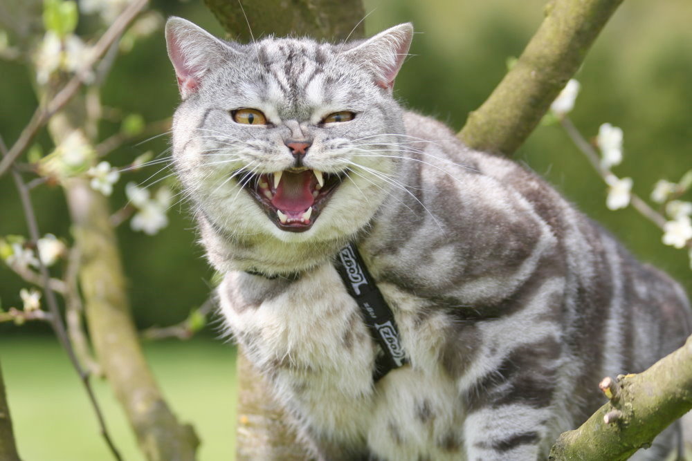 Jiiiihaaaa!!! Jetzt ist der Frühling da!!!