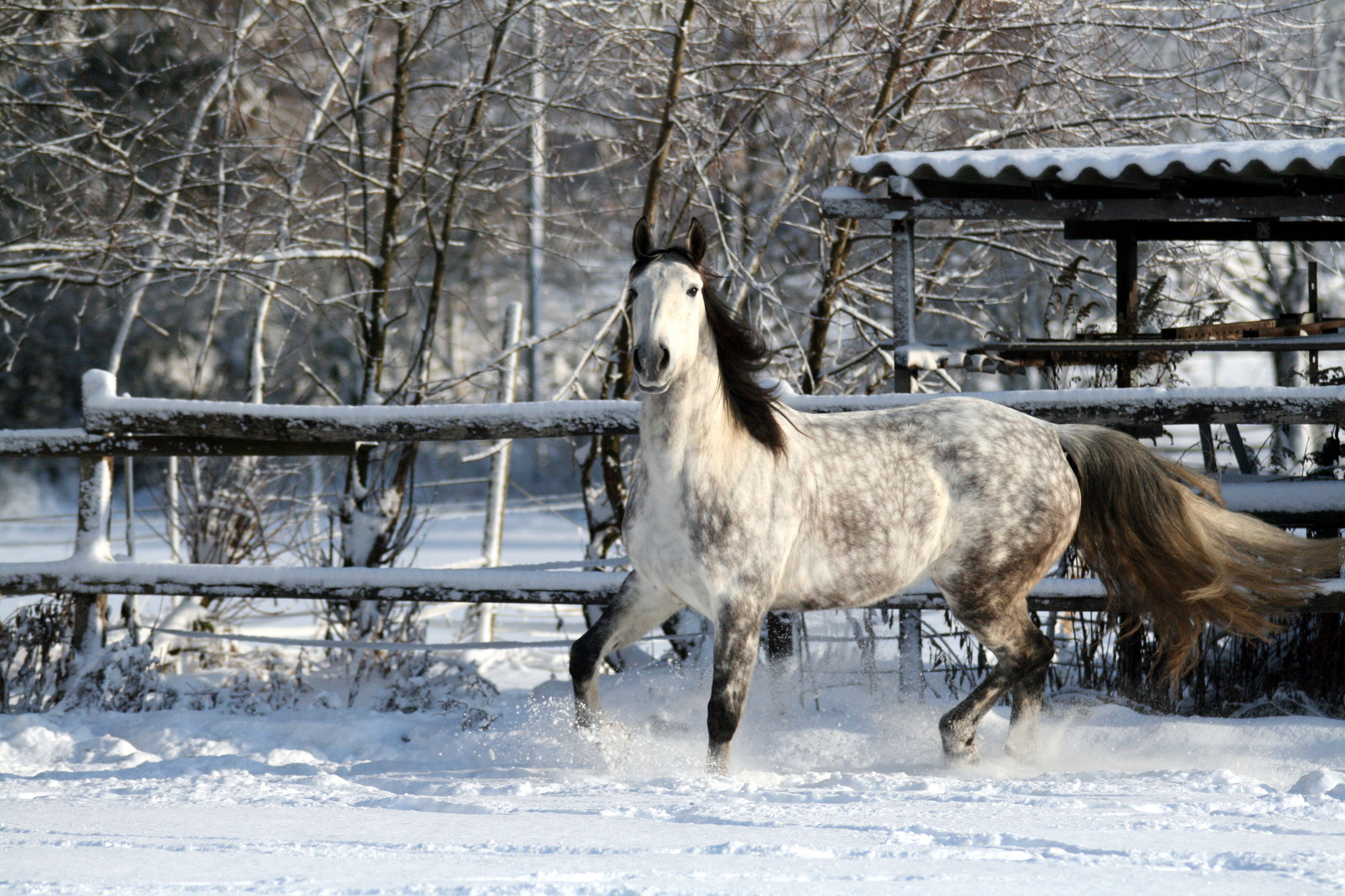 Jiipiieee, Spaß am Schnee