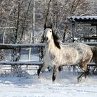 Jiipiieee, Spaß am Schnee