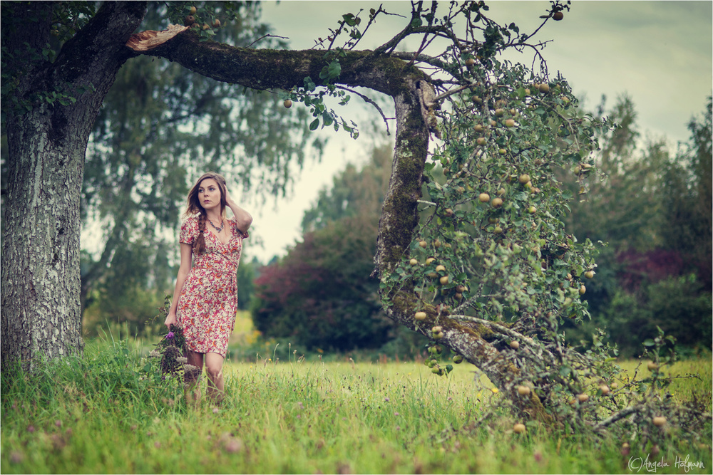 Jil & the appletree