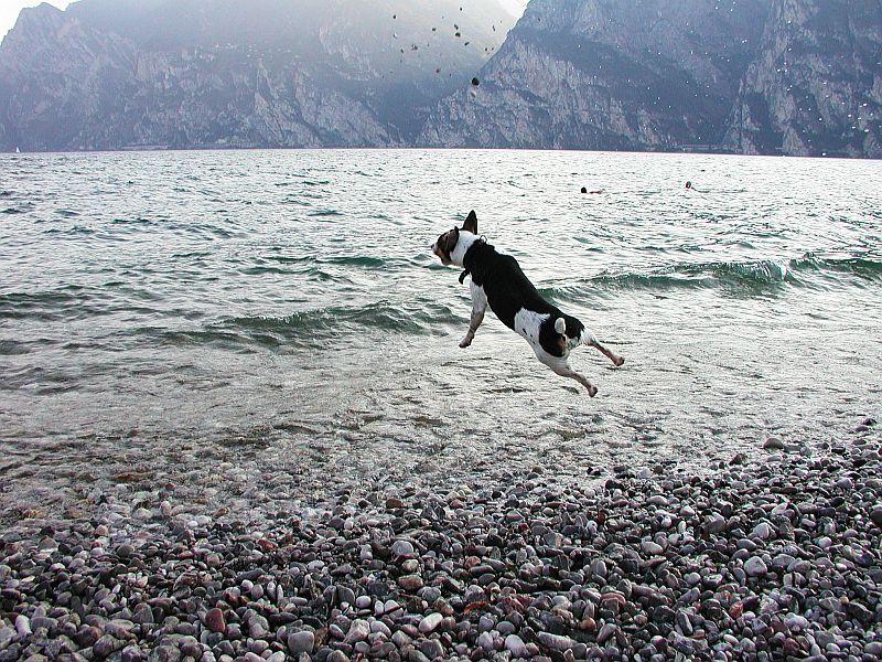 jim am gardasee