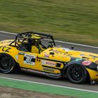 Jim Clark Revival in Hockenheim 2019 - YTCC Cobra #81