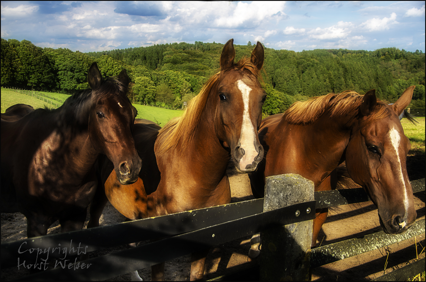 Jim, Jhonny und Jonas..