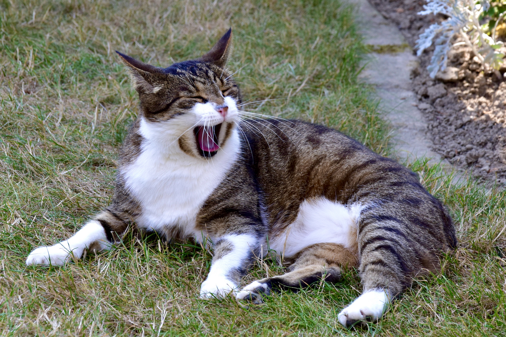 Jimmy Kater ist müde!