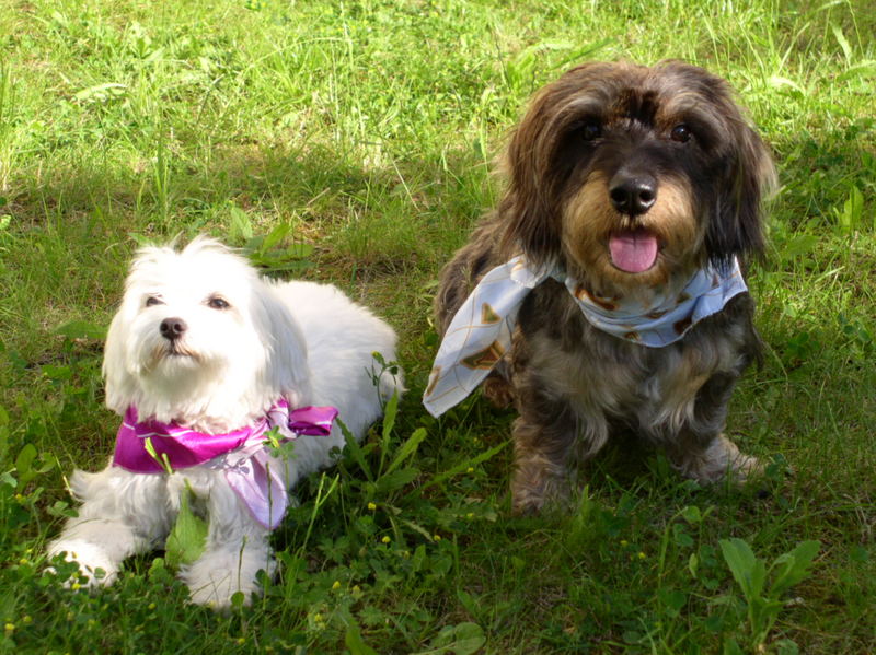 Jimmy und Sina im Garten Teil 2