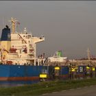 JIN ZHU HAI, Tanker Rotterdam