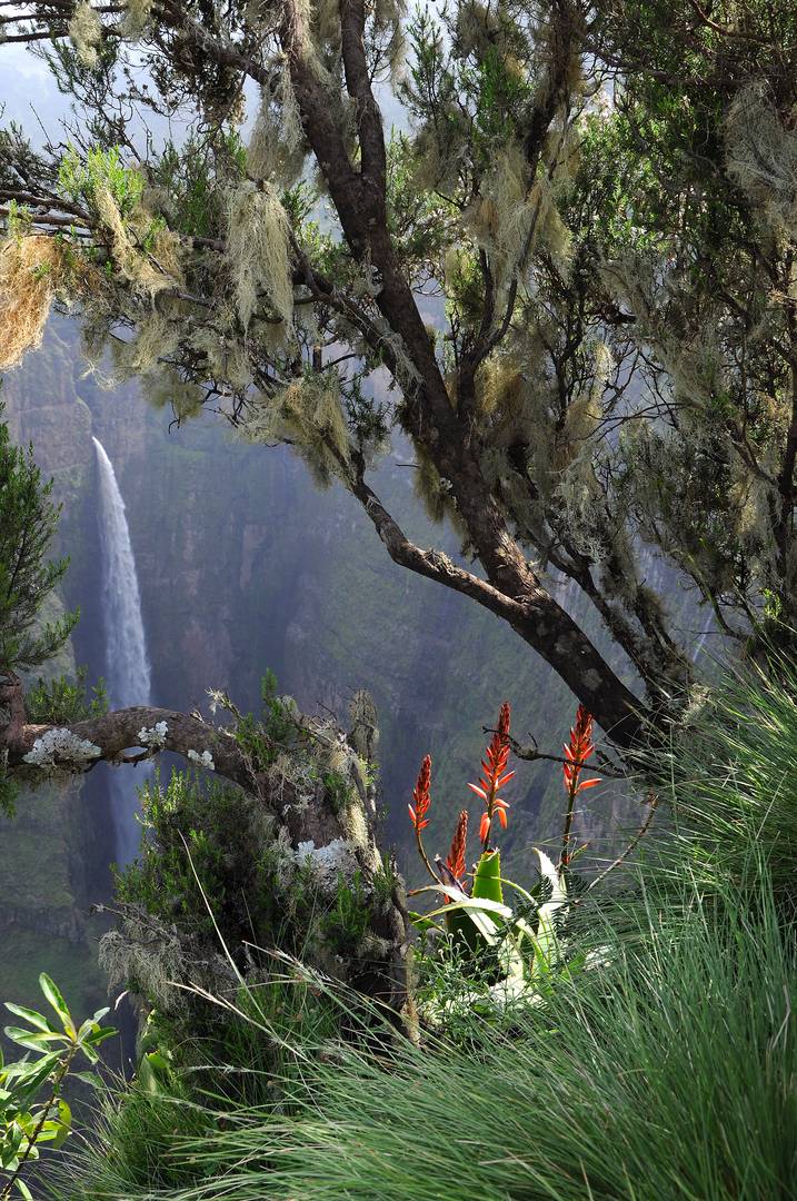 Jinbar Falls - Äthiopien Simien Mountains