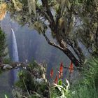 Jinbar Falls - Äthiopien Simien Mountains