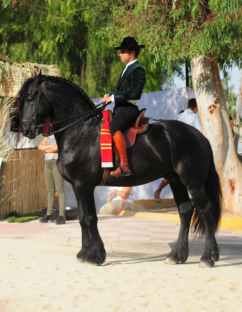 Jinete Bandolero