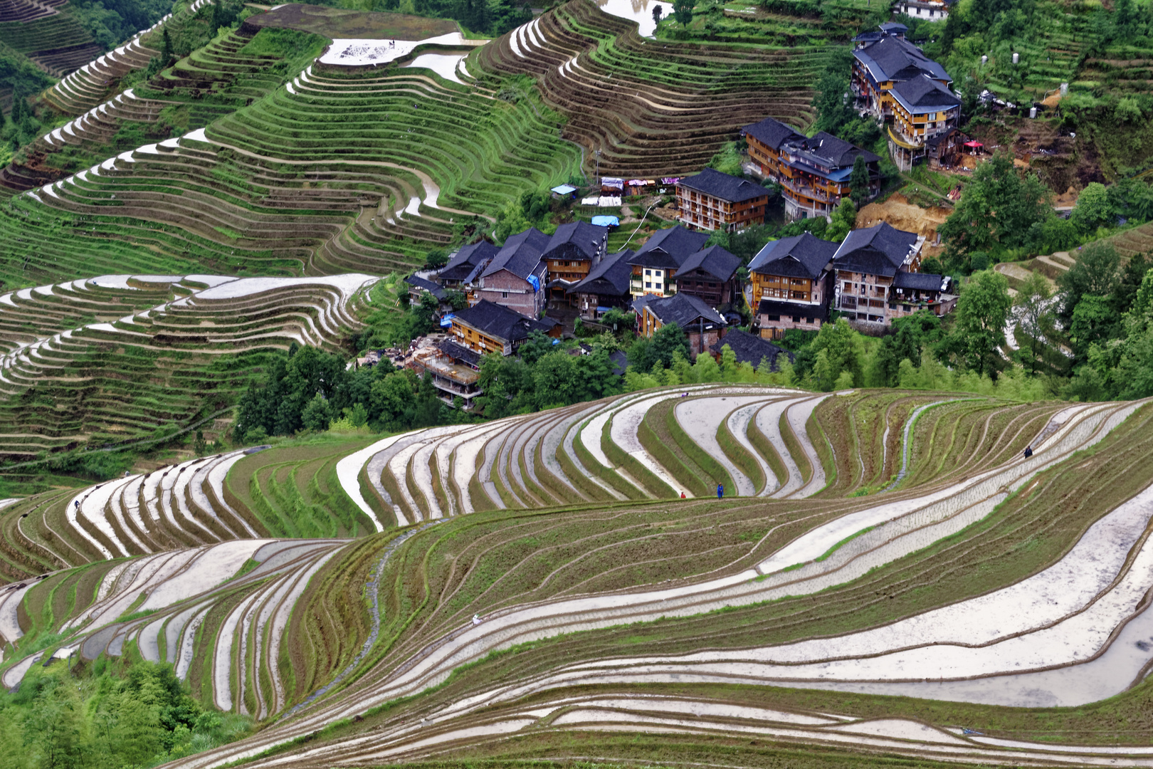 Jinkeng-Reisterrassen von Dazhai, Longsheng/China