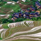 Jinkeng-Reisterrassen von Dazhai, Longsheng/China