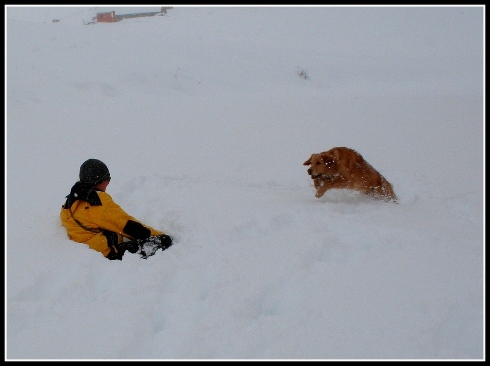 "jippie schneeschlacht"