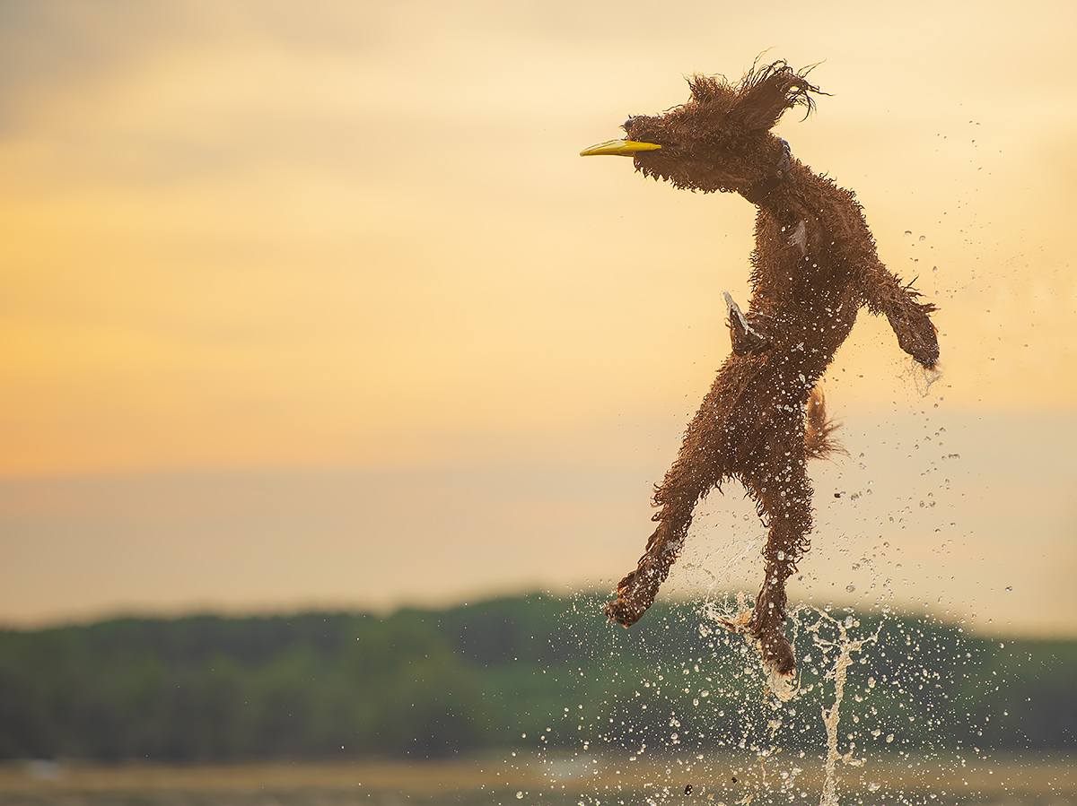 Jippiiee, Frisbee ist das schönste!!