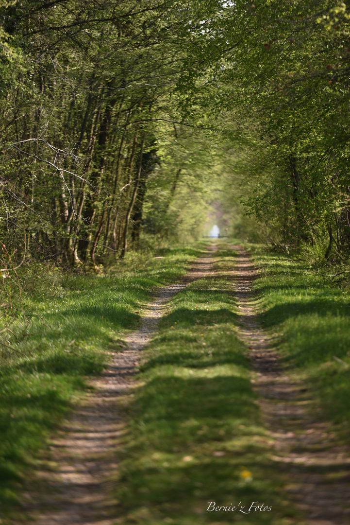 J'irai au bout du chemin