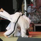 Jiu Jitsu 4