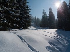 Jltios, am Klangweg