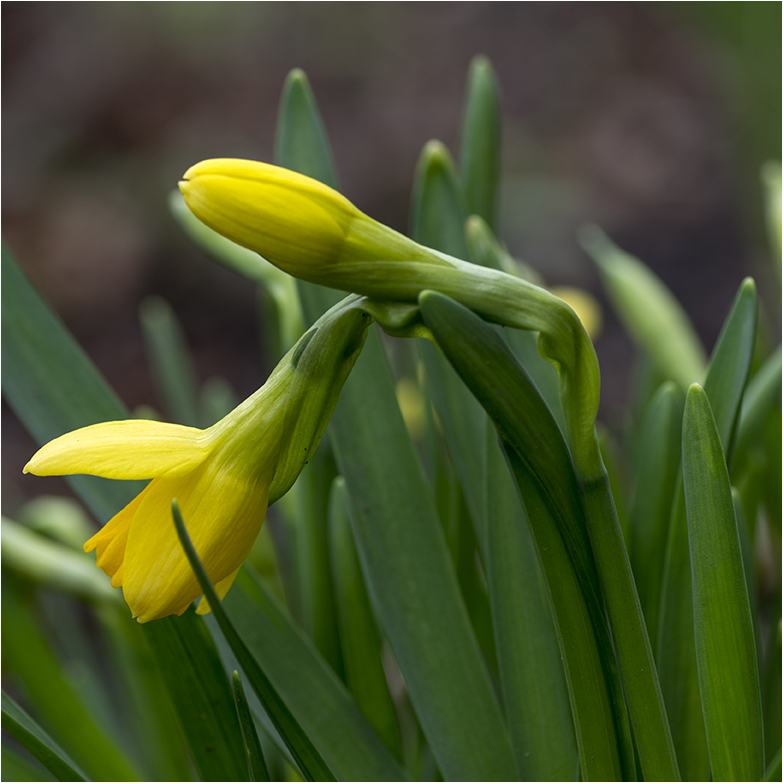 Jo is denn scho Ostern?