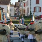 Joaldunak de Ituren (Navarra) en el carnaval de Ustaritz (País vasco francés)