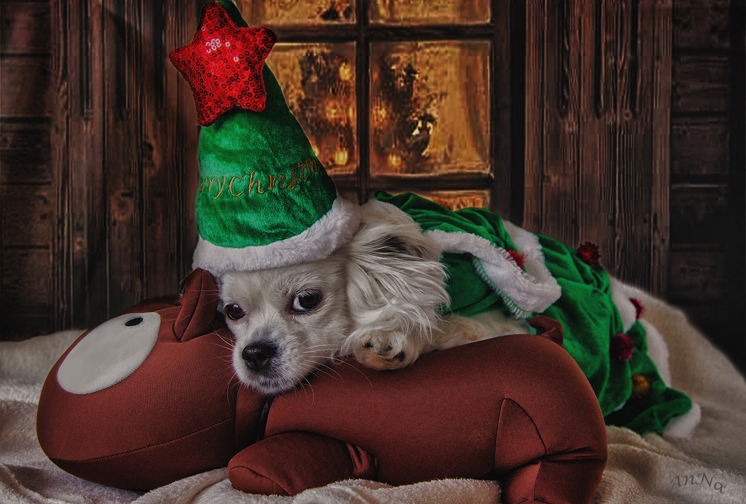 Job erledigt...Weihnachten kann kommen